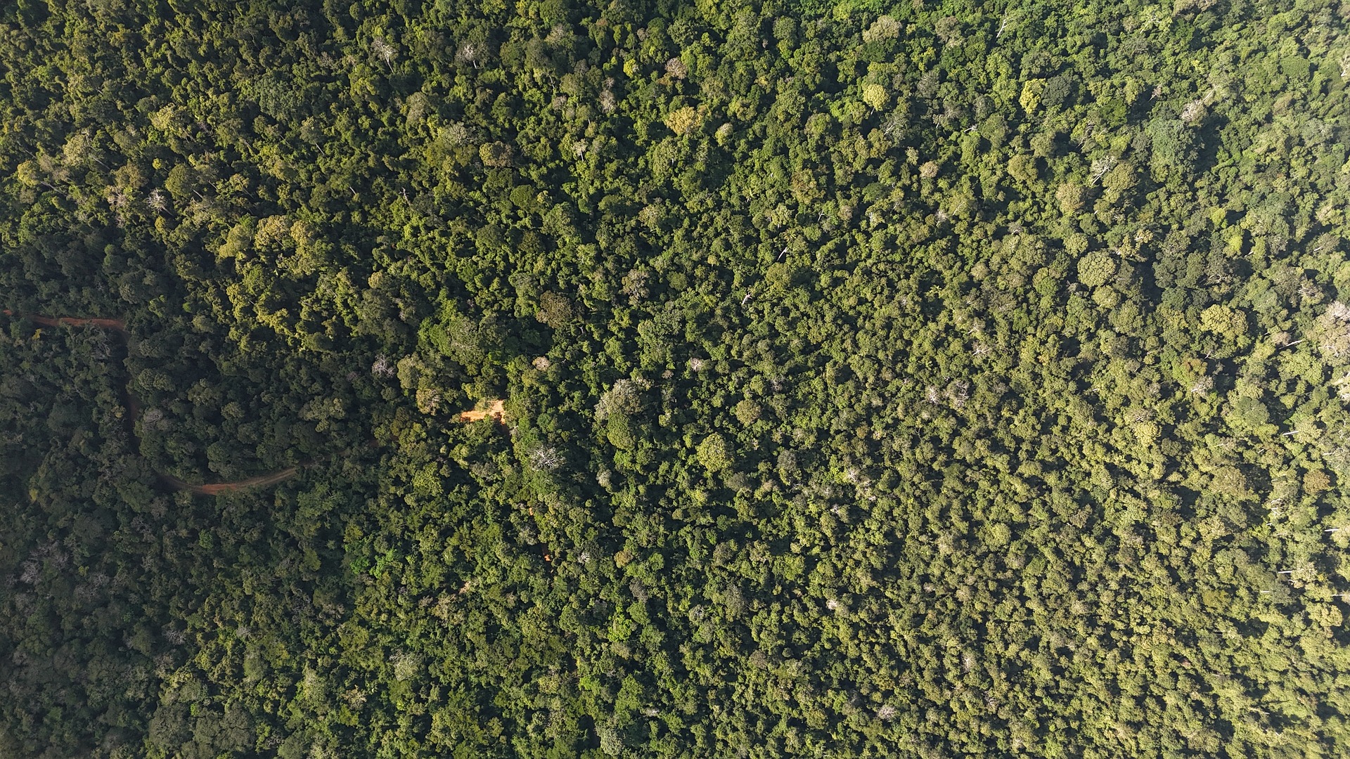 Kooperationspartner gewonnen